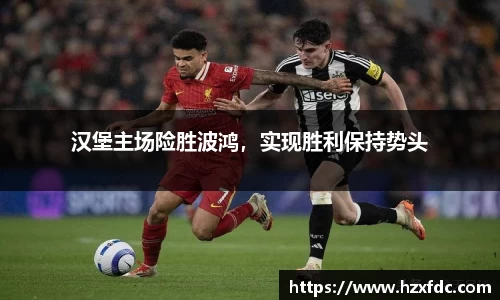 汉堡主场险胜波鸿，实现胜利保持势头