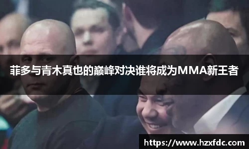 菲多与青木真也的巅峰对决谁将成为MMA新王者